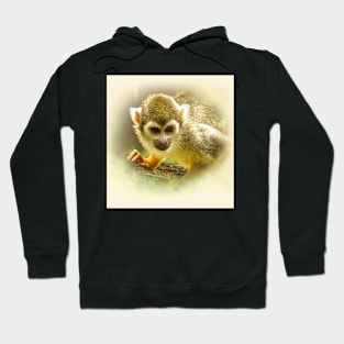 Squirrel monkey Hoodie